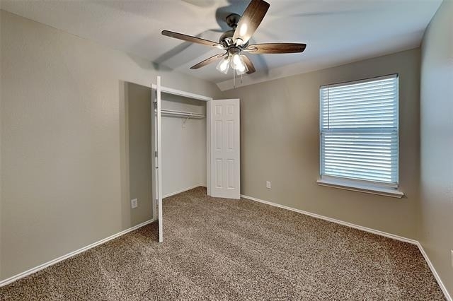 11736 Cottontail Drive - Photo 12