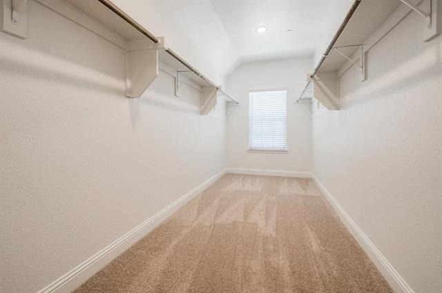 4720 Piedras Lanzar Drive - Photo 13