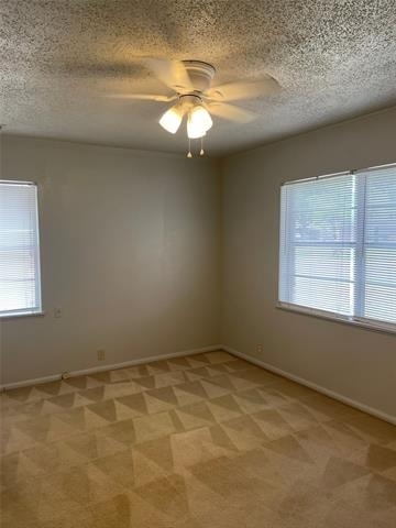725 Elmwood Drive - Photo 10