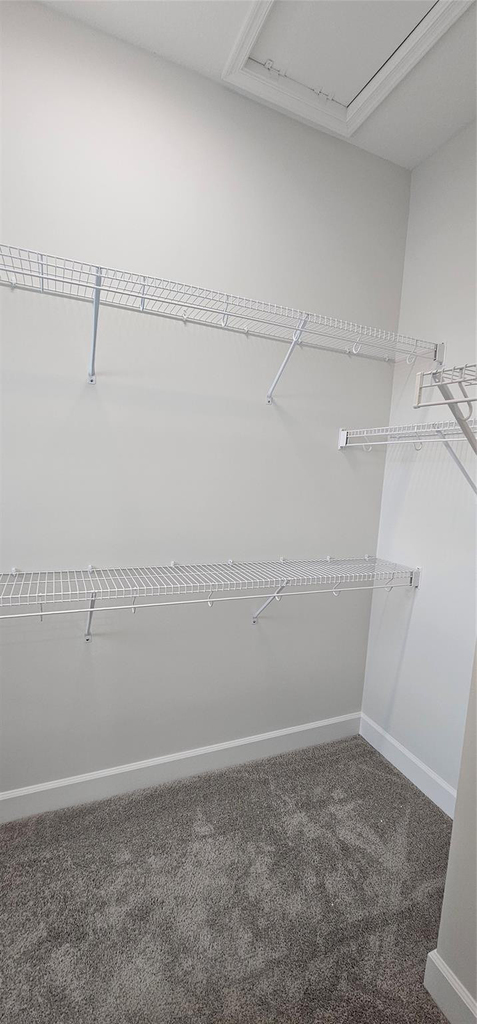5461 Empire Drive - Photo 15