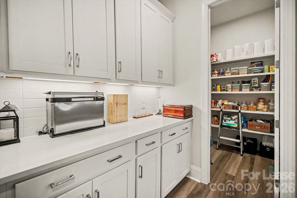 223 Lanyard Lane - Photo 9