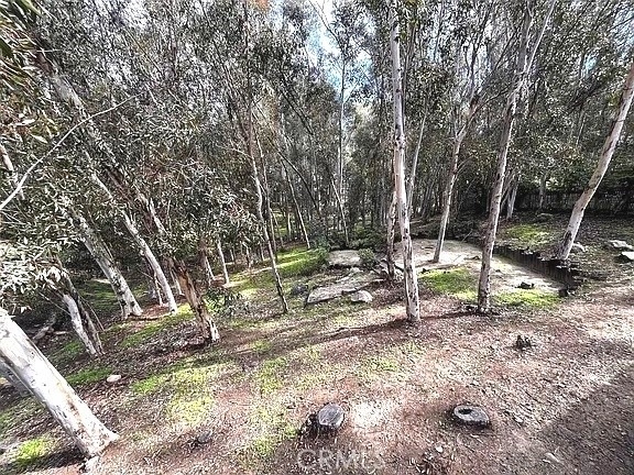 24851 Rollingwood Road - Photo 22