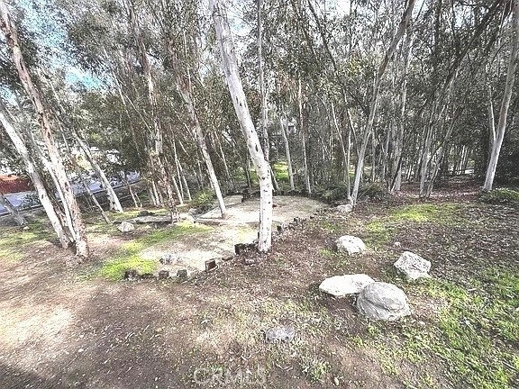24851 Rollingwood Road - Photo 24