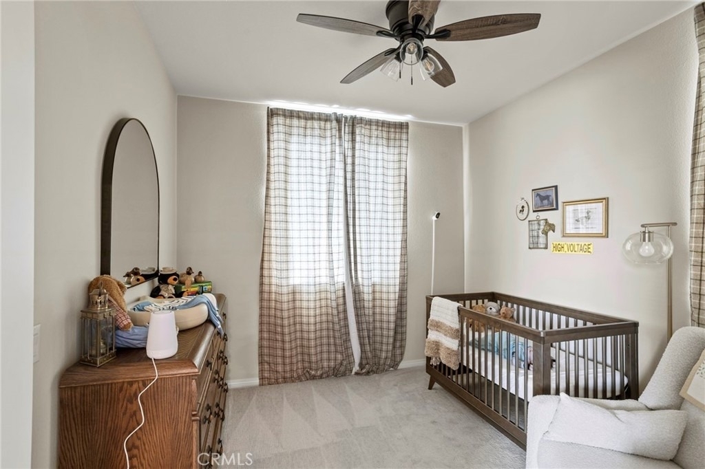 31416 Boston Ivy - Photo 17
