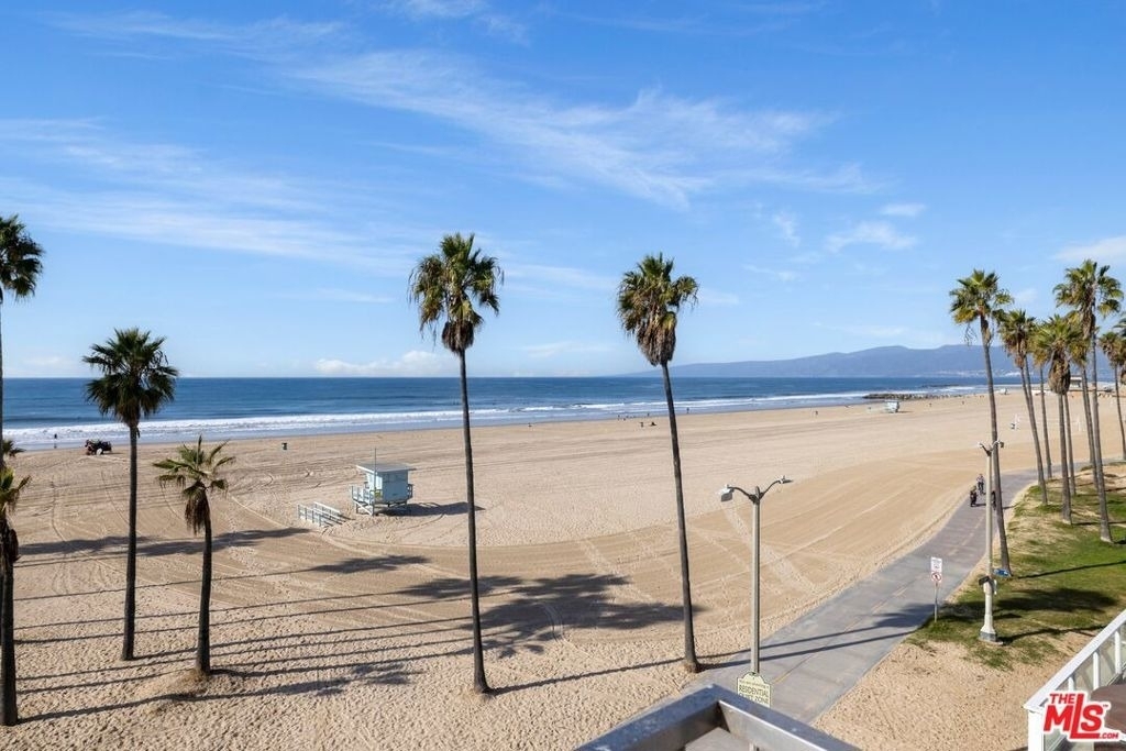 3007 Ocean Front Walk - Photo 29