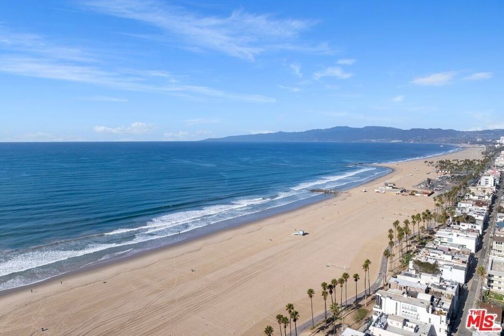 3007 Ocean Front Walk - Photo 32