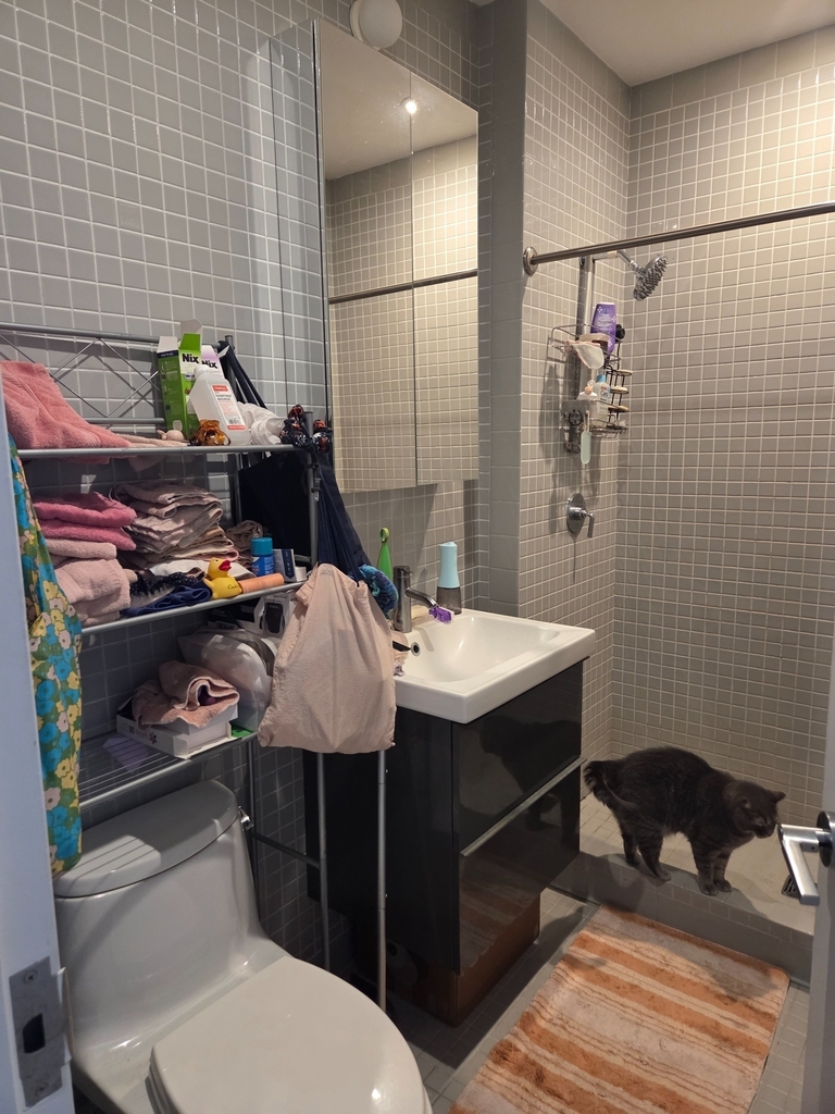 719 St Nicholas Avenue - Photo 4