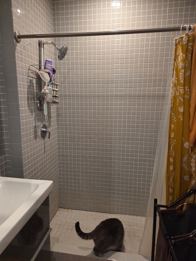 719 St Nicholas Avenue - Photo 5