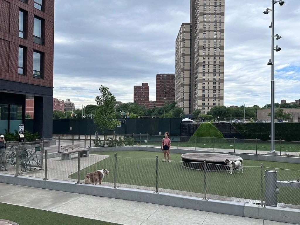 550 Vanderbilt Avenue - Photo 30