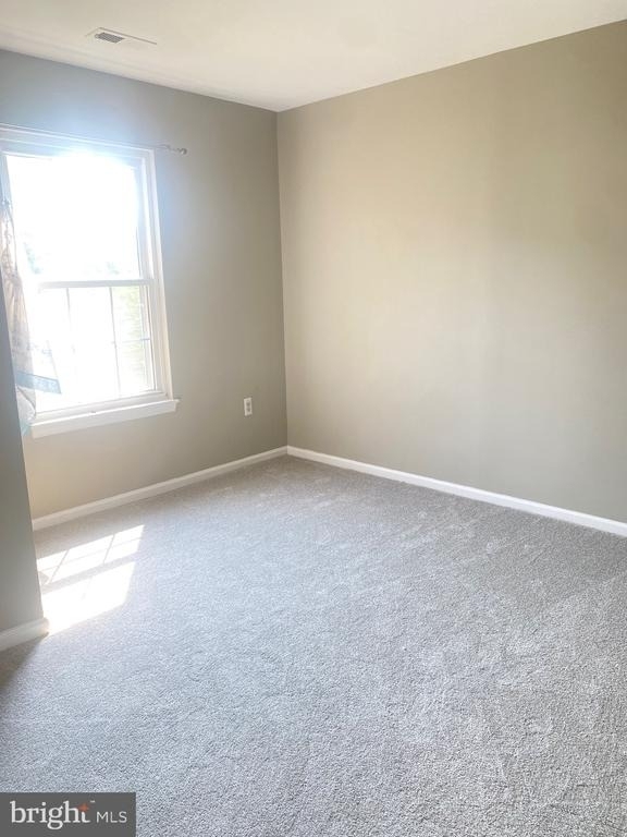 20844 Apollo Terrace - Photo 11