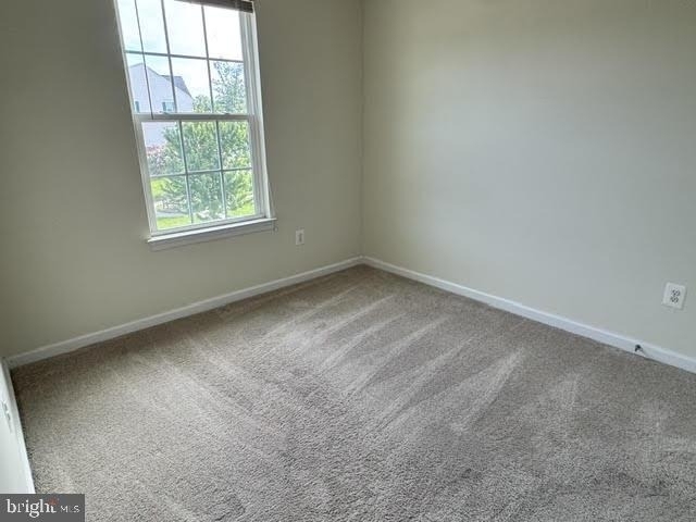 45949 Grammercy Terrace - Photo 9