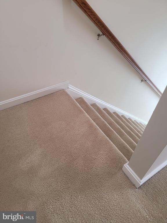 25117 Sweet Myrtle Square - Photo 10