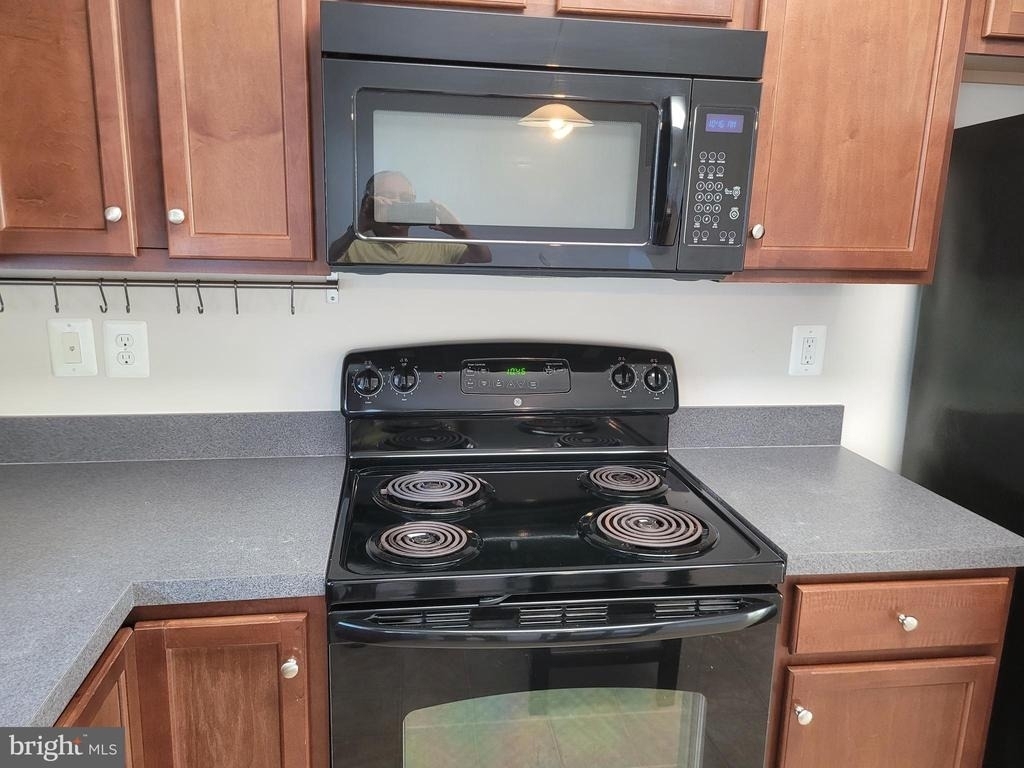 25117 Sweet Myrtle Square - Photo 12