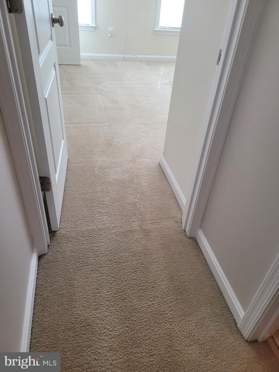 25117 Sweet Myrtle Square - Photo 27
