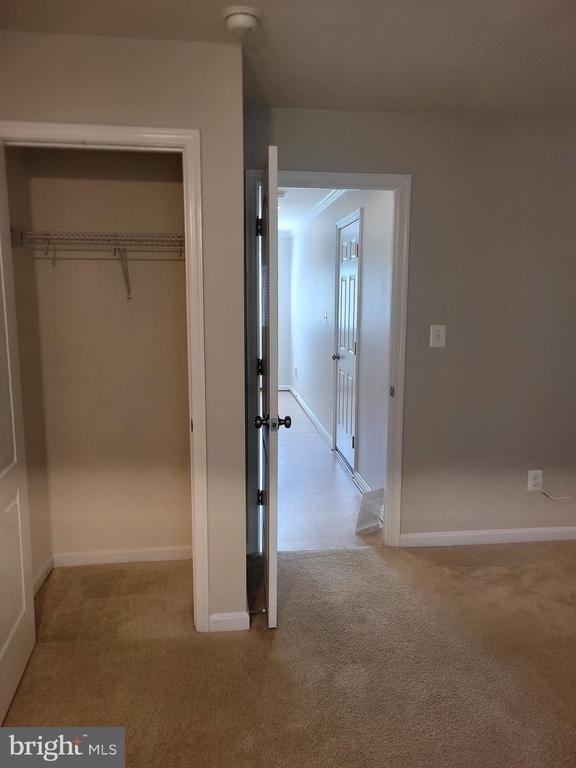 25117 Sweet Myrtle Square - Photo 38