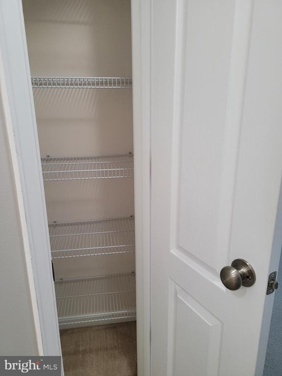 25117 Sweet Myrtle Square - Photo 19