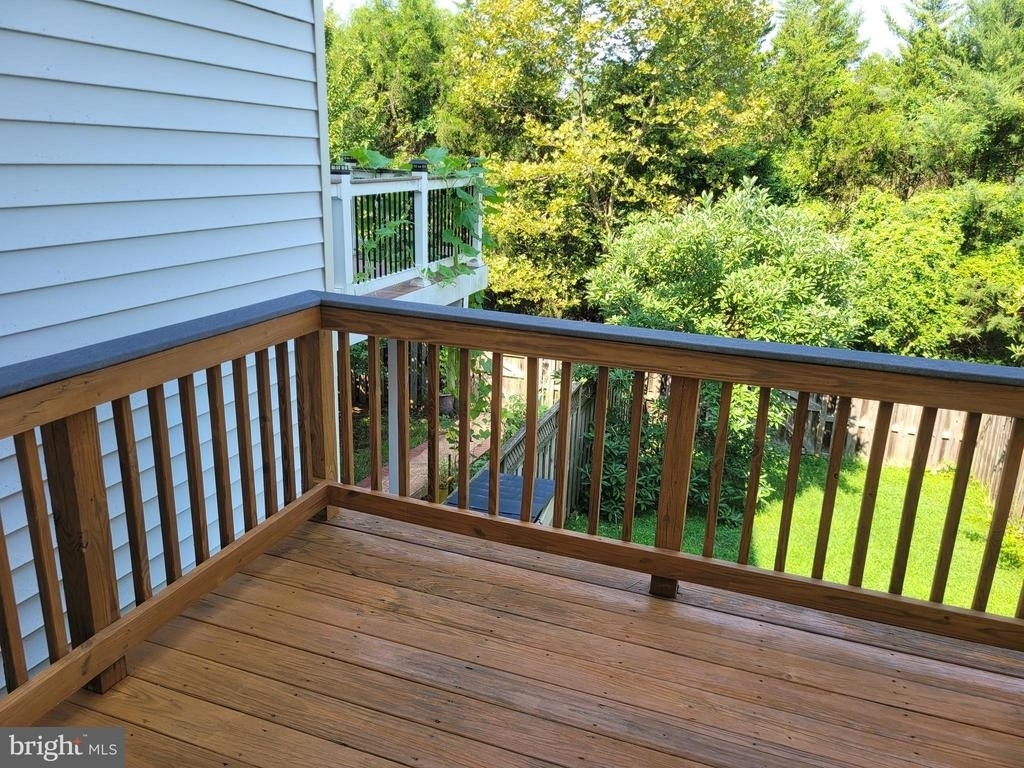 25117 Sweet Myrtle Square - Photo 41