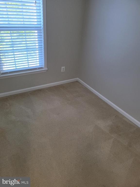 25117 Sweet Myrtle Square - Photo 6