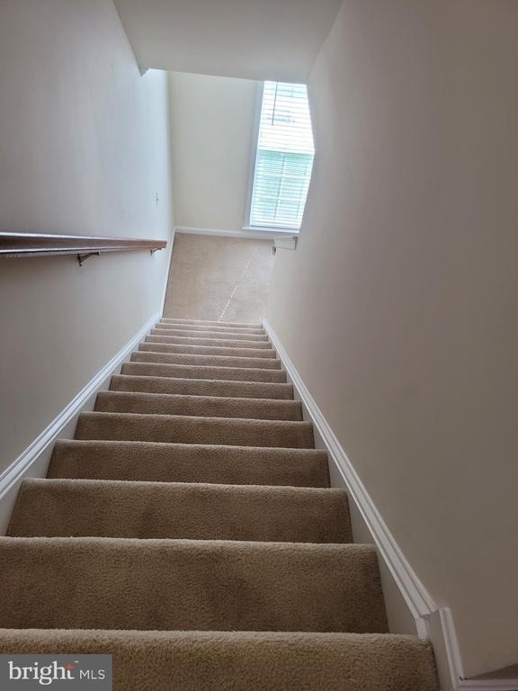 25117 Sweet Myrtle Square - Photo 43