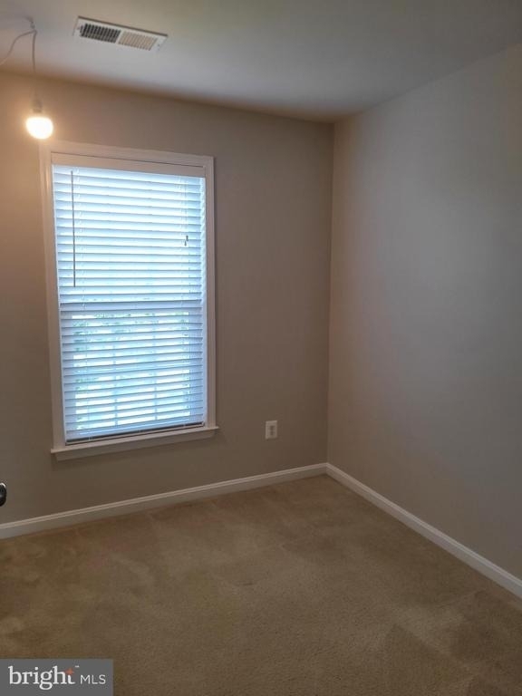 25117 Sweet Myrtle Square - Photo 36