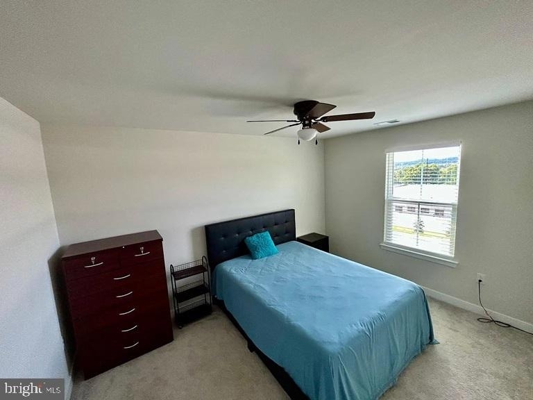 210 Chase Drive - Photo 14