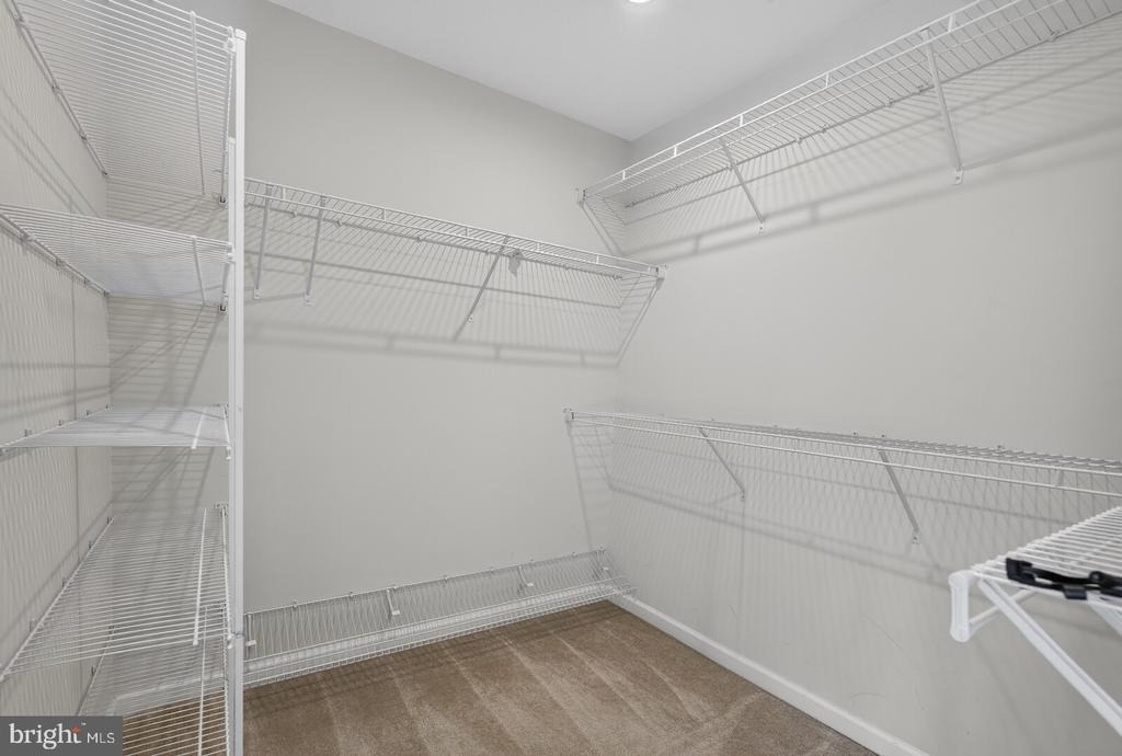 22030 Longspur Alley - Photo 24