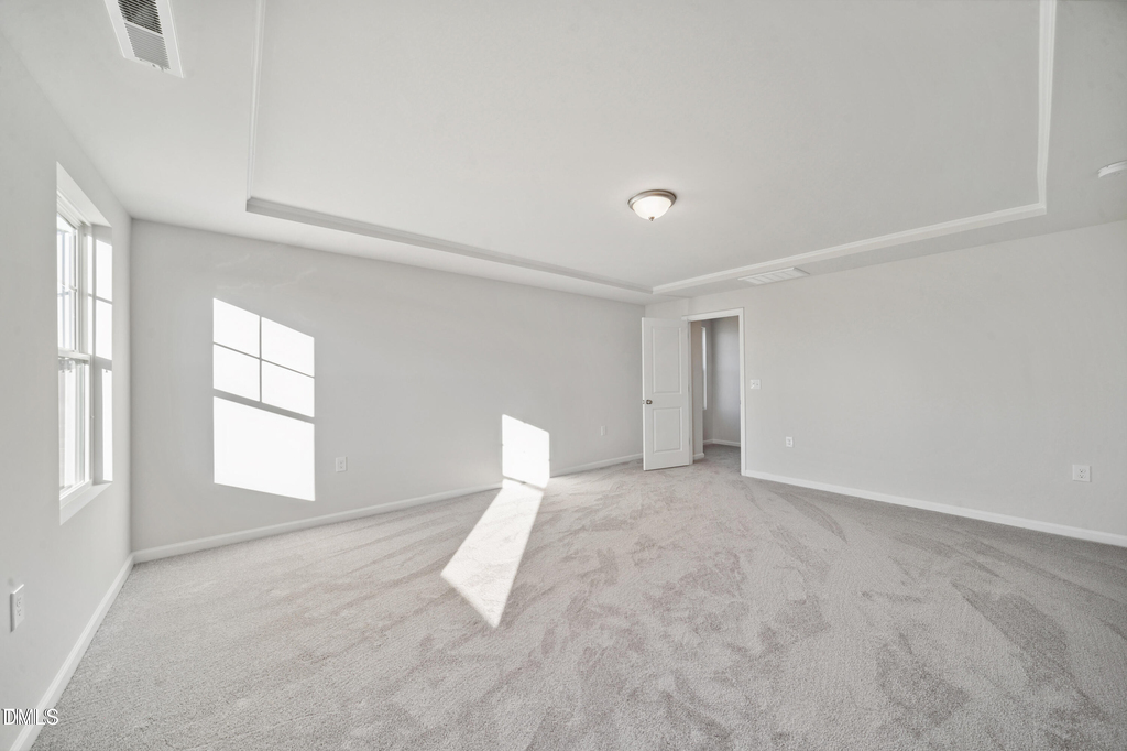 3712 Massey Pond Trail - Photo 8