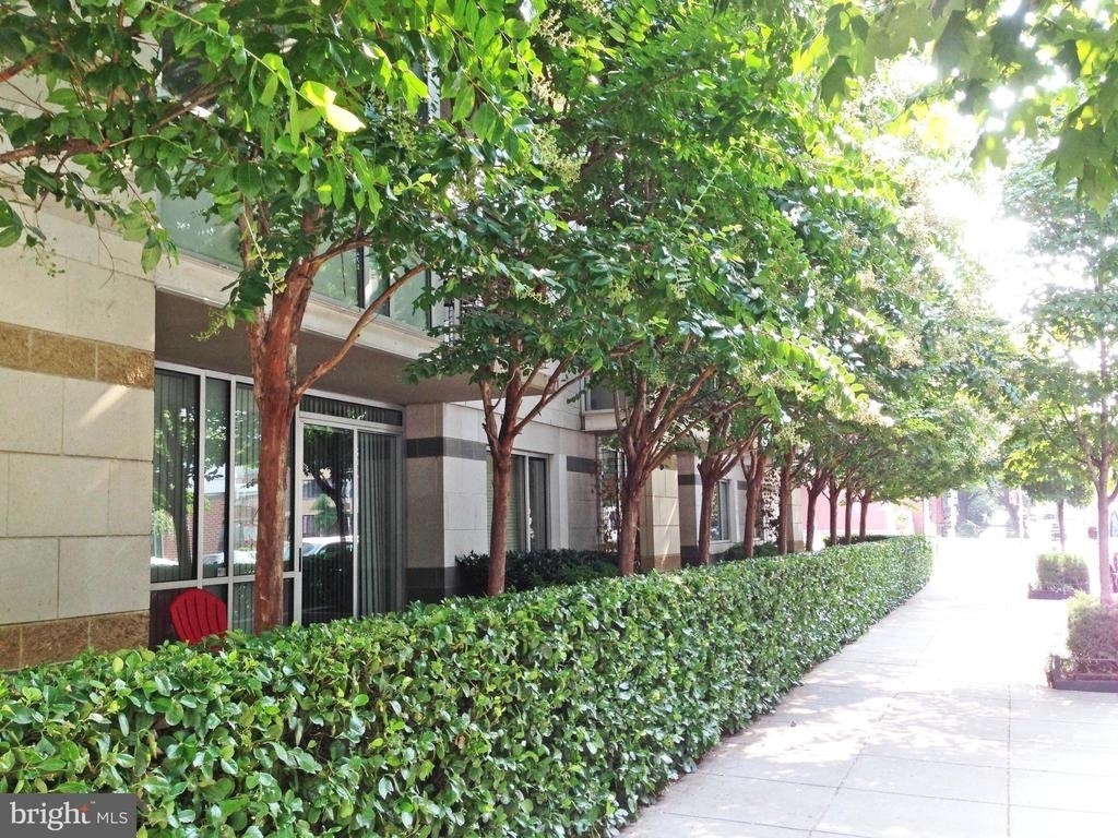 1300 13th Street Nw - Photo 18