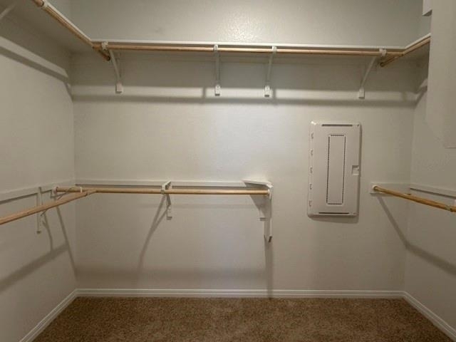 101 Lbj Ln - Photo 8