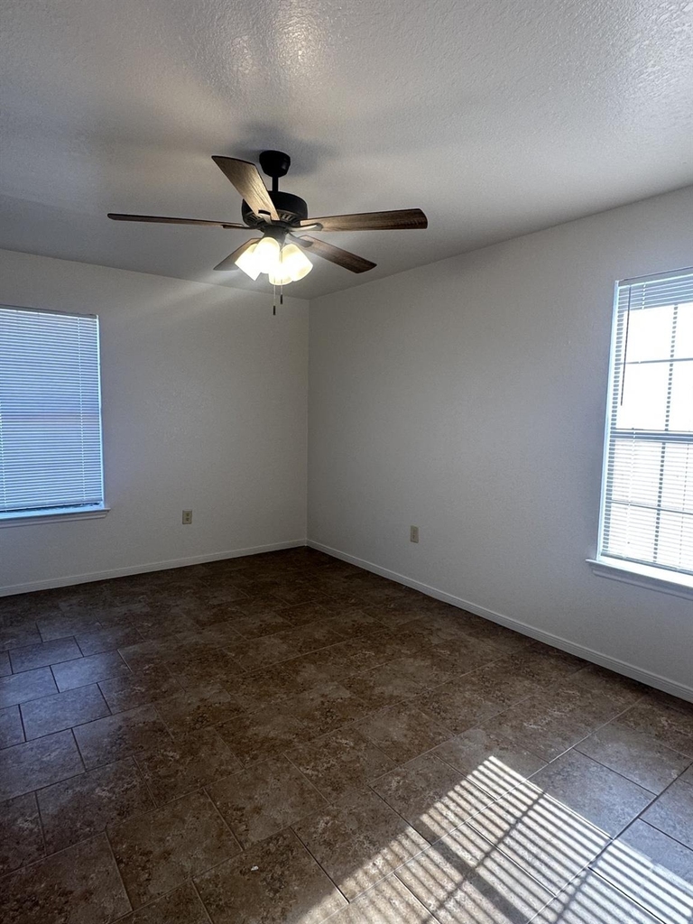 723 Willowood - Photo 4