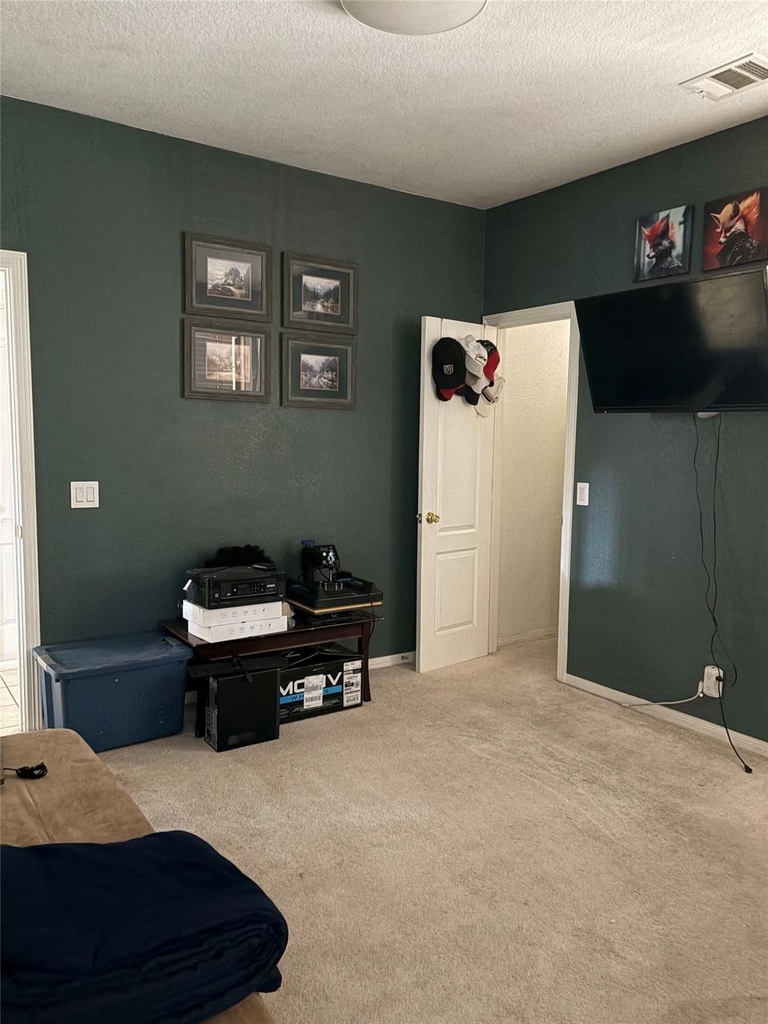 13804 Ashton Woods Cir - Photo 9