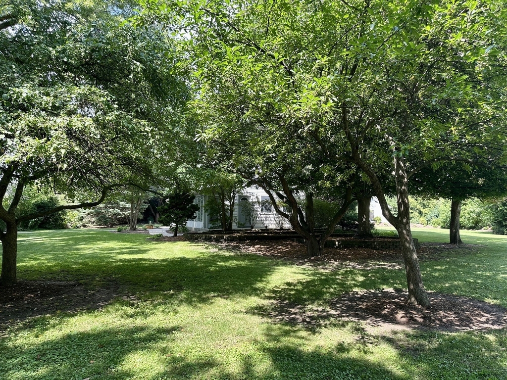 17n750 Galligan Road - Photo 2