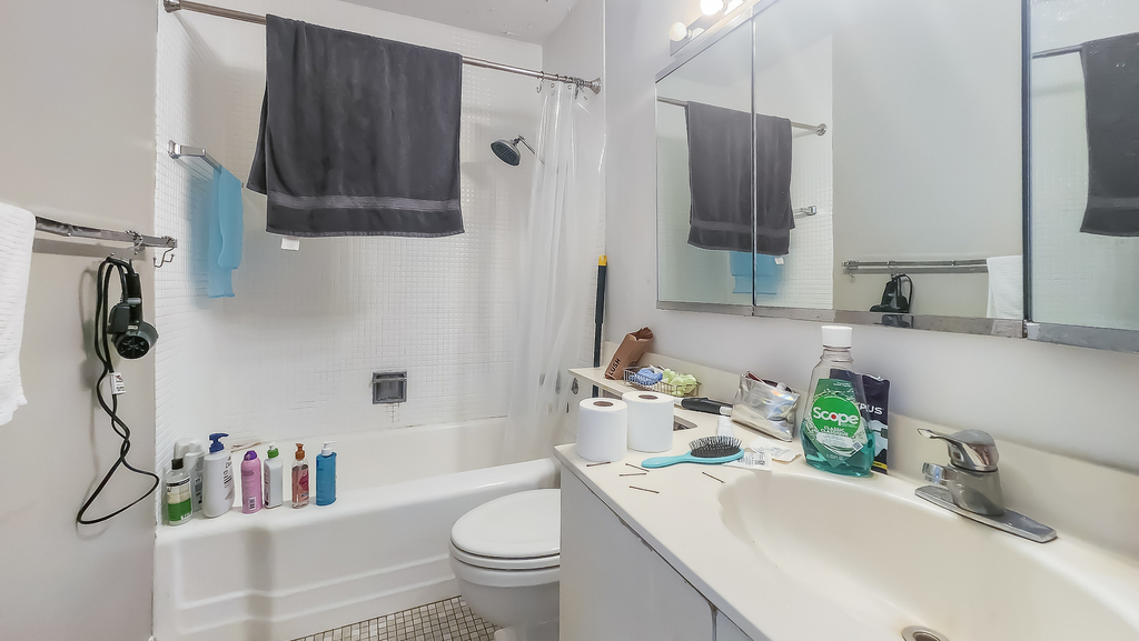 535 N Michigan Avenue - Photo 6