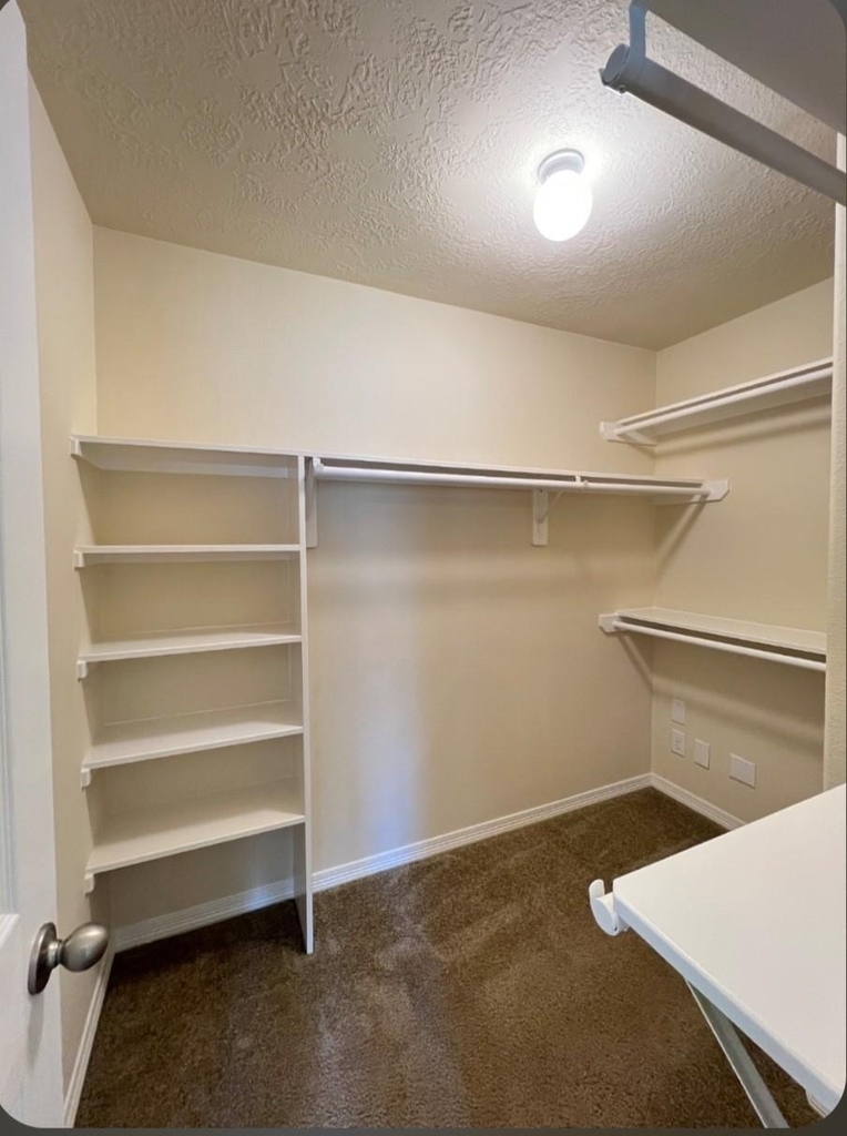 6207 Lovage Avenue - Photo 12