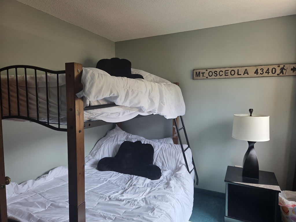 106 Mountain River East - Photo 14