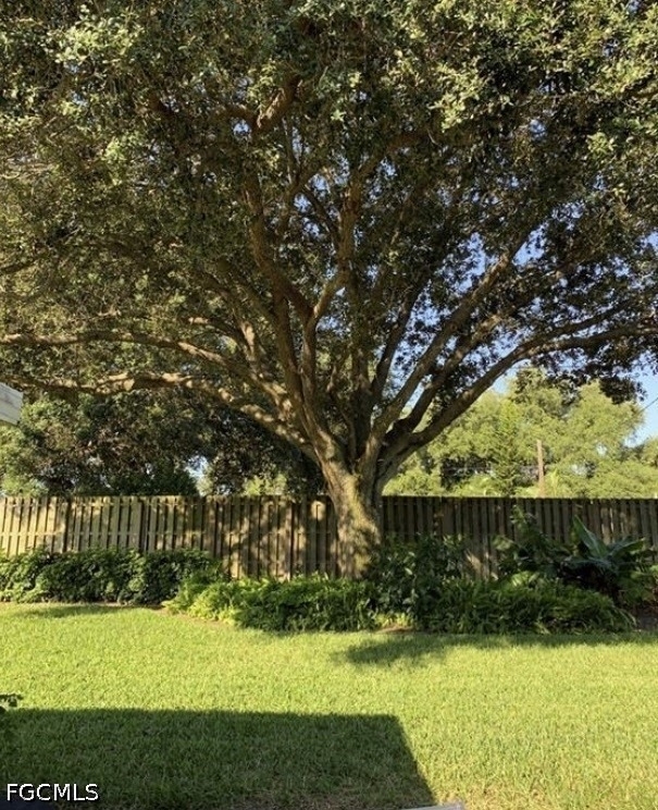 21174 Butchers Holler - Photo 3