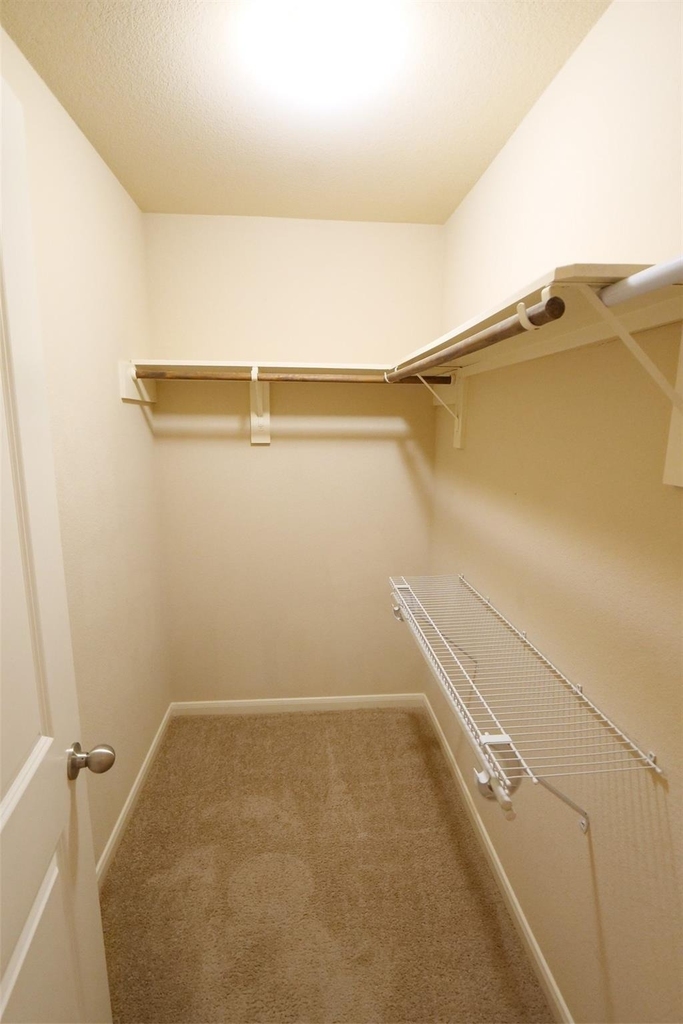 26427 Longview Creek - Photo 24