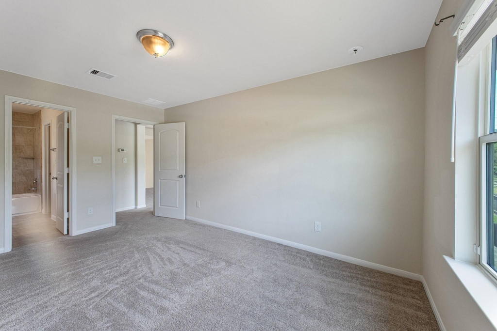 431 American Black Bear Drive - Photo 19
