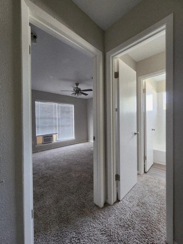 517 5th Street - Photo 10