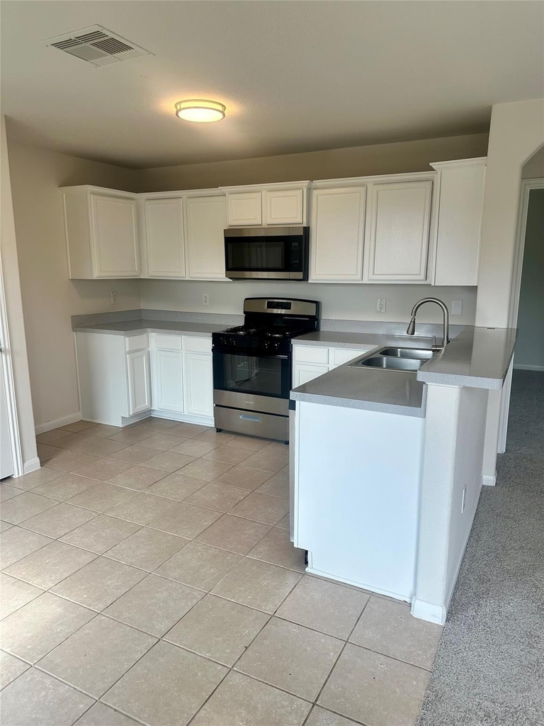26931 Wild Duck Lane - Photo 8