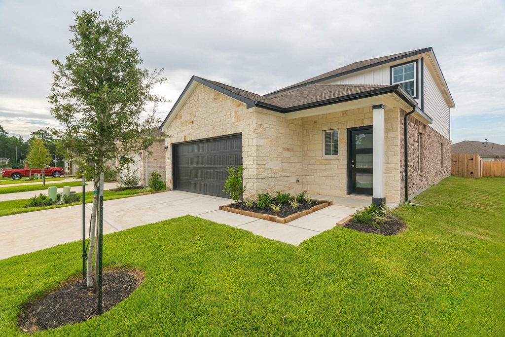 8555 Blueberry Ash Street - Photo 2