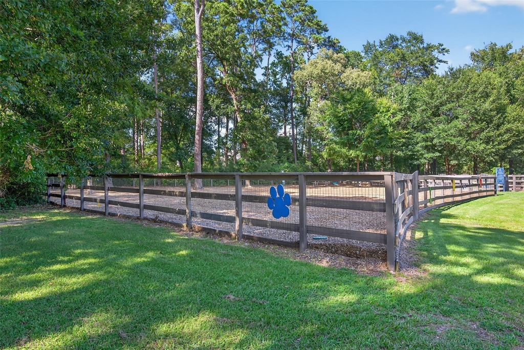 146 Kinnerly Peak Place - Photo 17