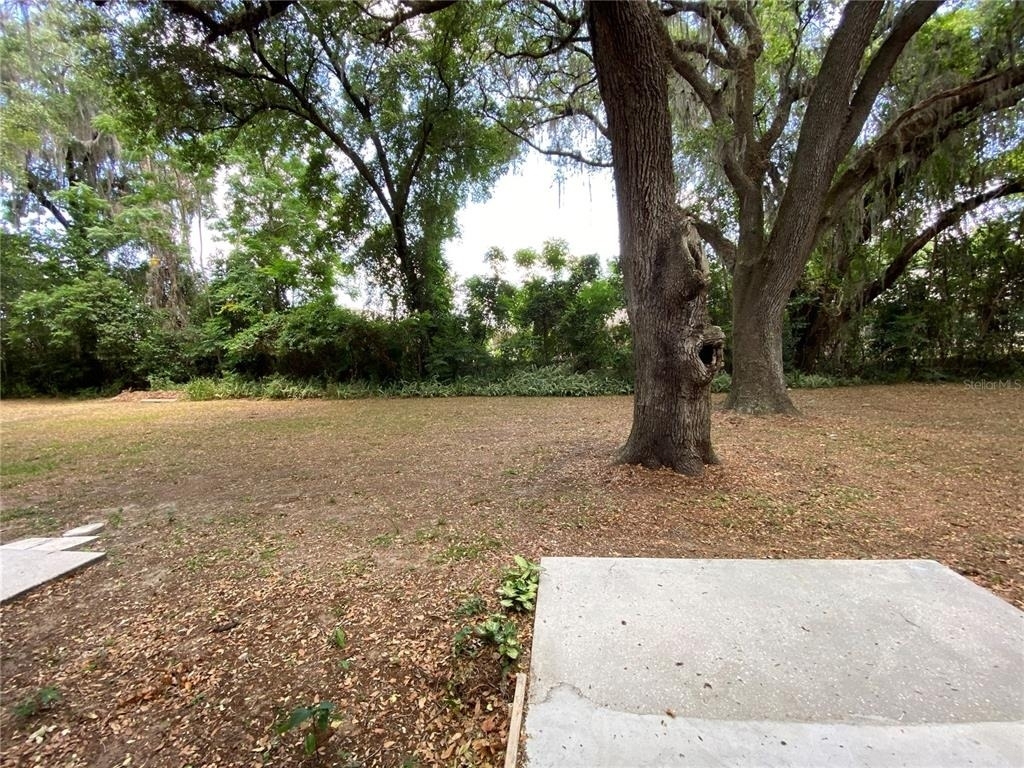 37147 Marlu Lane - Photo 7