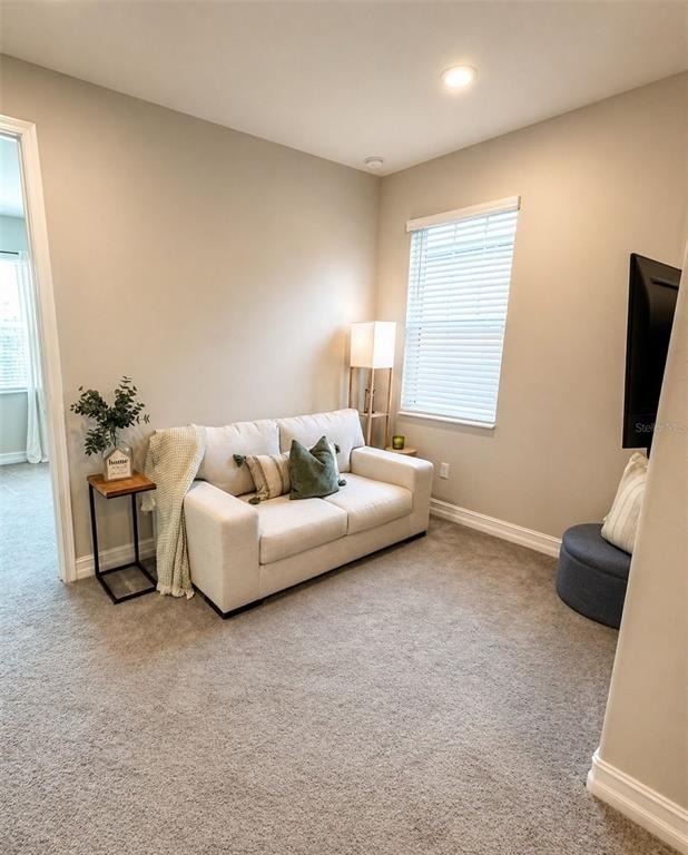 5054 San Martino Drive - Photo 44