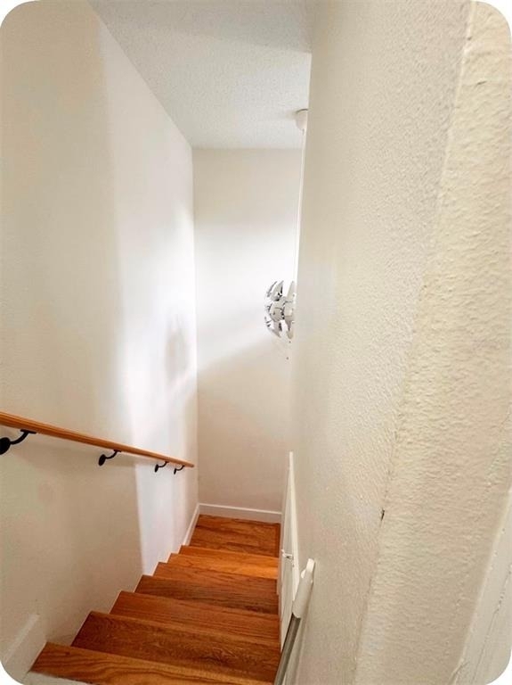 574 Orchid Drive - Photo 11
