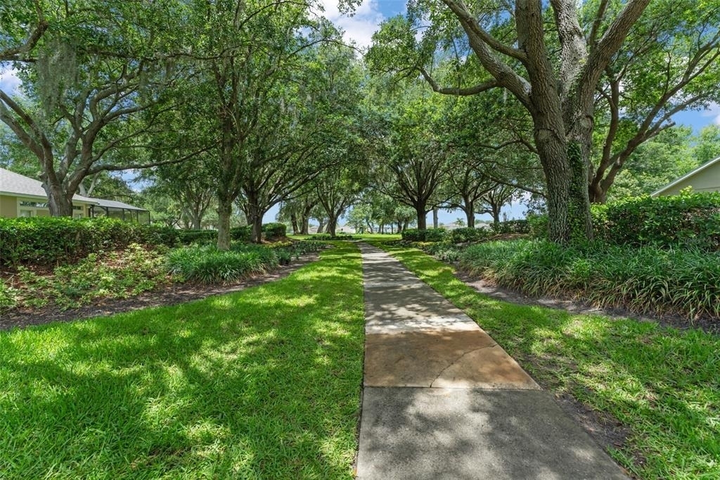 14411 Hampshire Bay Circle - Photo 63