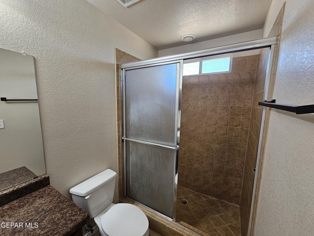 12036 Copper Head Lane - Photo 12