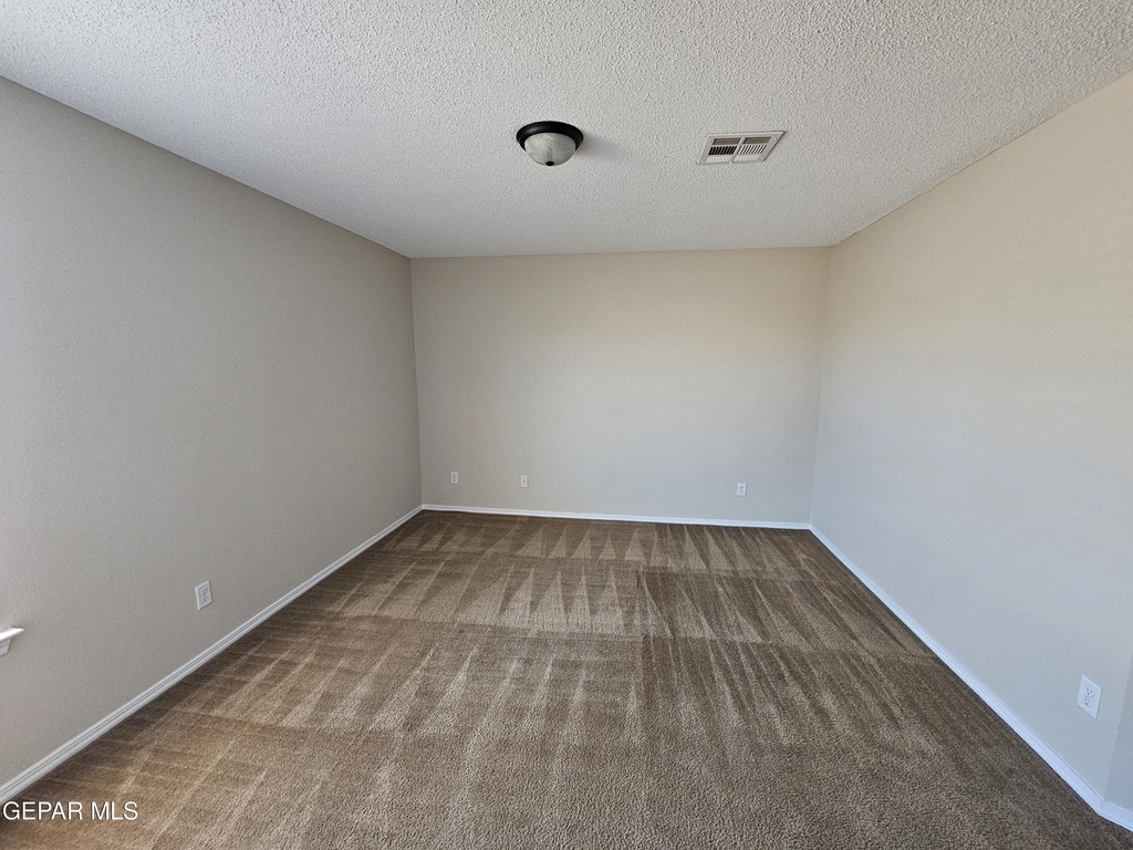 12036 Copper Head Lane - Photo 8