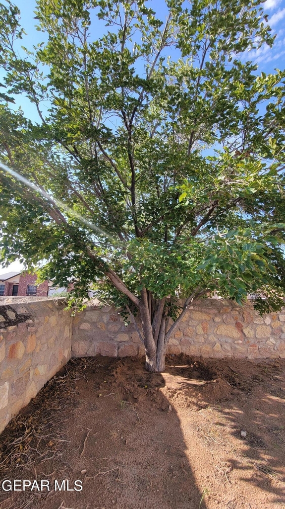 3600 Tierra Meca Drive - Photo 57