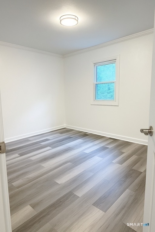 59 Park Lane Road - Photo 9
